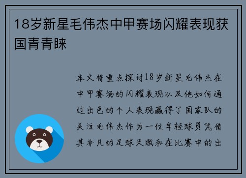 18岁新星毛伟杰中甲赛场闪耀表现获国青青睐
